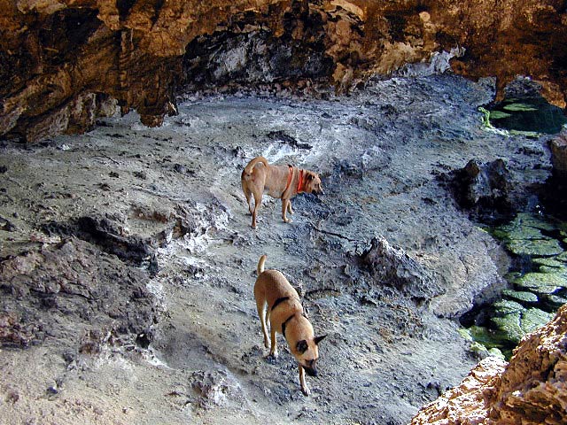 Greta and Geezer exploring the caves around the Blue Hole.