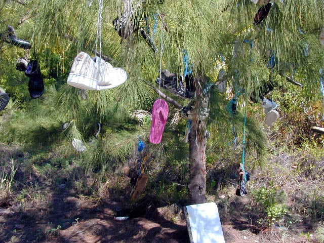 The Baker's Bay Shoe Tree