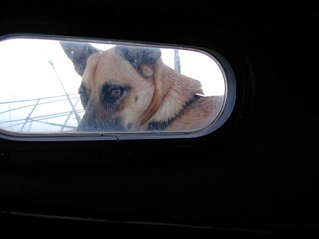 Greta keeping an eye on the progress down below.