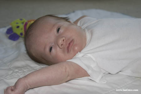 CRW_3561